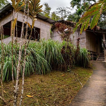 Rain Forest Inn Ringlet Exterior foto